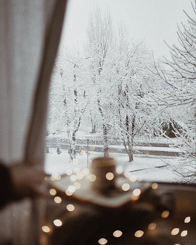 A serene winter landscape with fresh snow blanketing the forest floor, untouched and pristine. (2023 snow season) A serene winter landscape with fresh snow blanketing the forest floor, untouched and pristine. (2023 snow season)