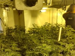 Police Officers have uncover a large grow and an illegal cigarette hub in the Newbold area of Chesterfield. The large grow was found on the second floor of a building in Stand Road on 21 July 2022