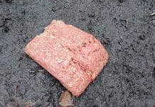 Concern as mince meat dog booby trap found in Derby park Mince Meat Dog Trap: A slab of suspicious meat discovered on a Derby footpath sparks safety concerns among dog walkers.